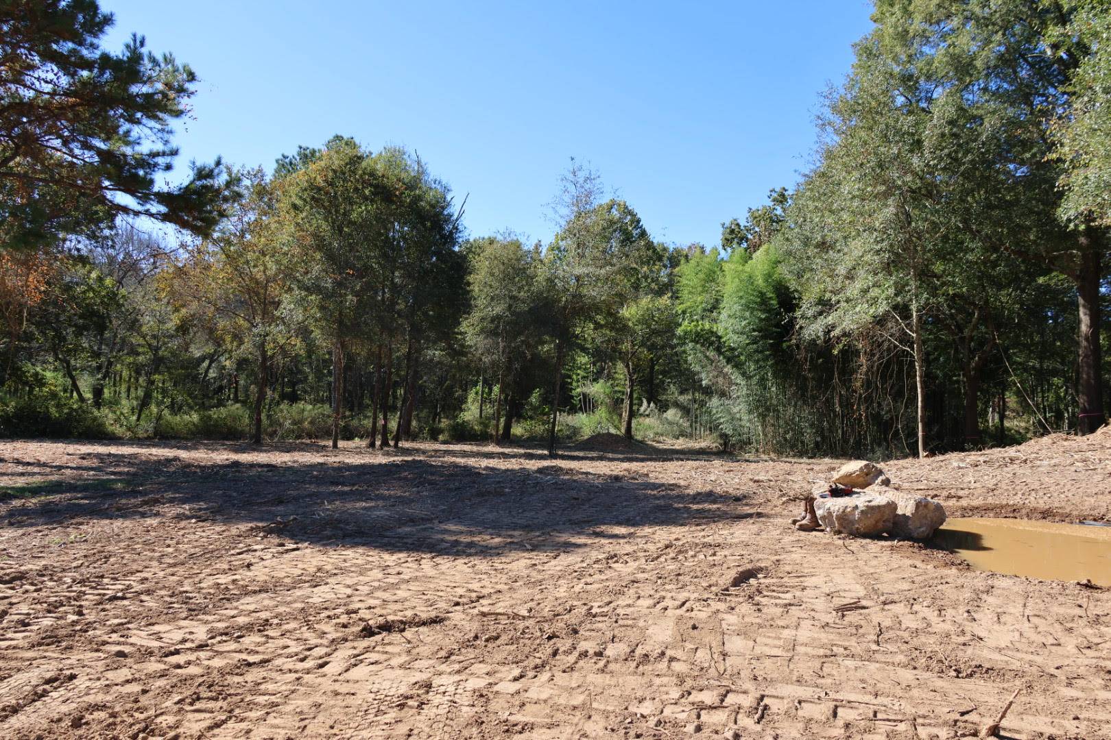 Tines And Timber (2)