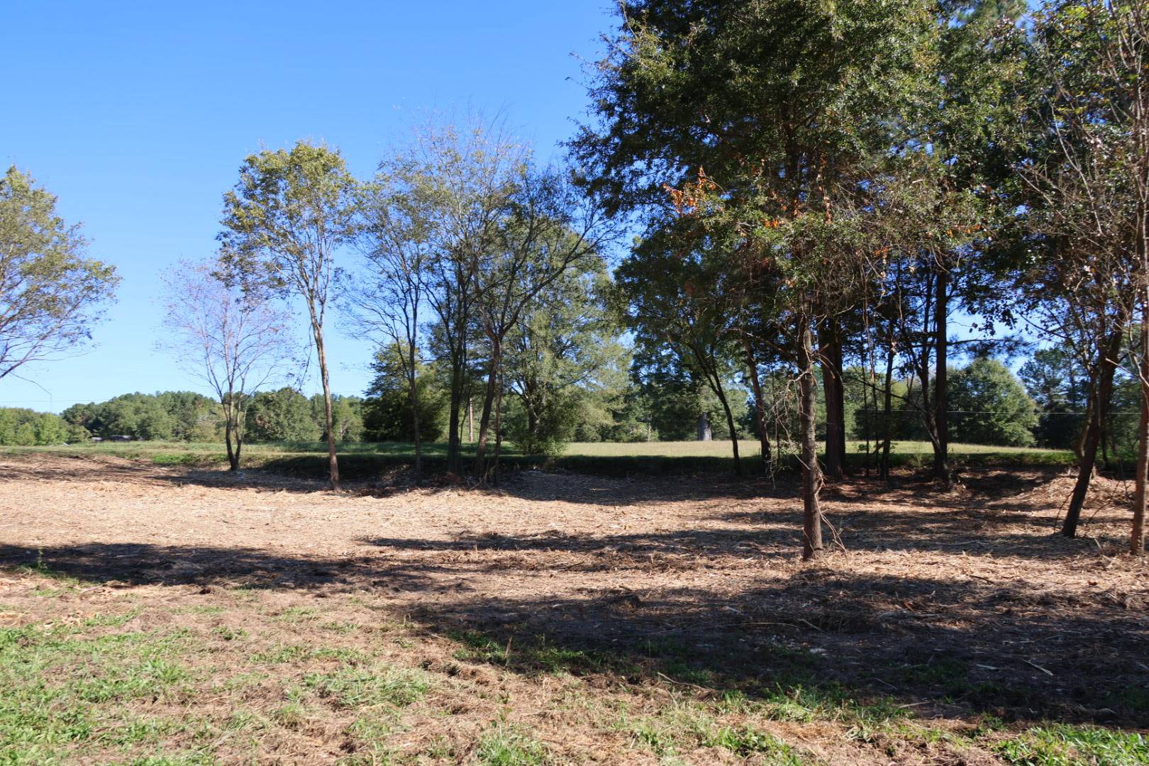 Tines And Timber (3)